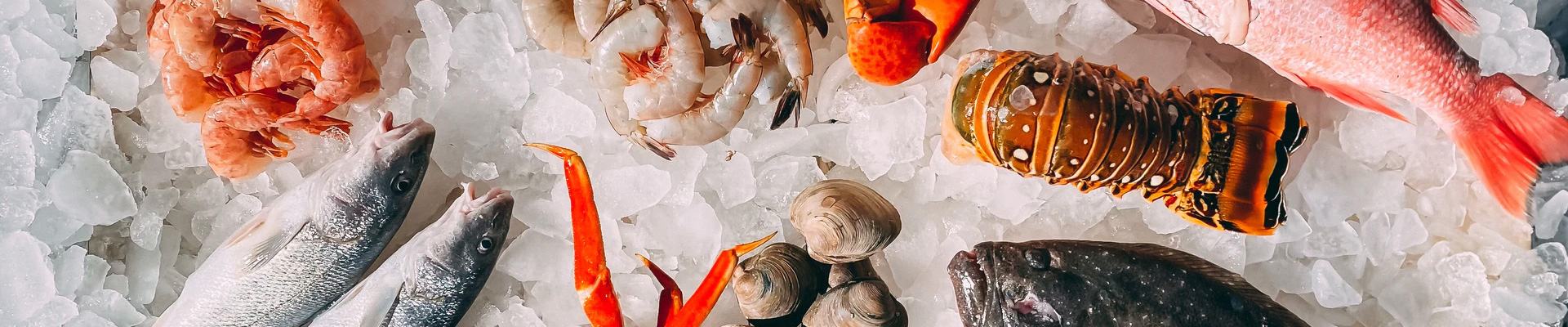 金華市南極冷凍食品有限公司