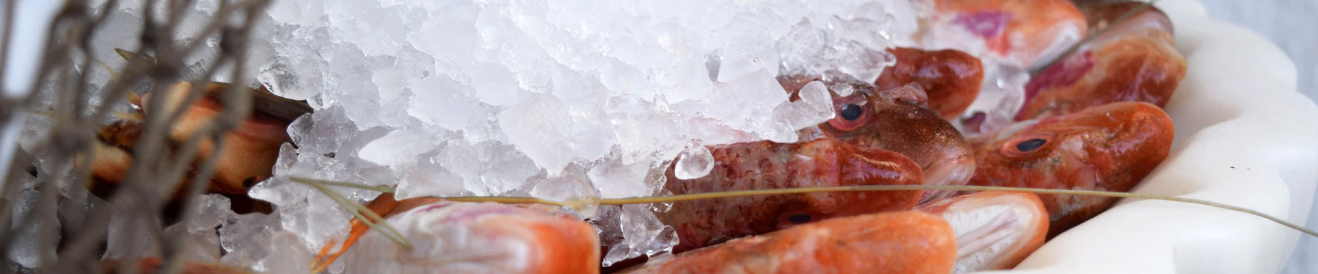 金華市南極冷凍食品有限公司